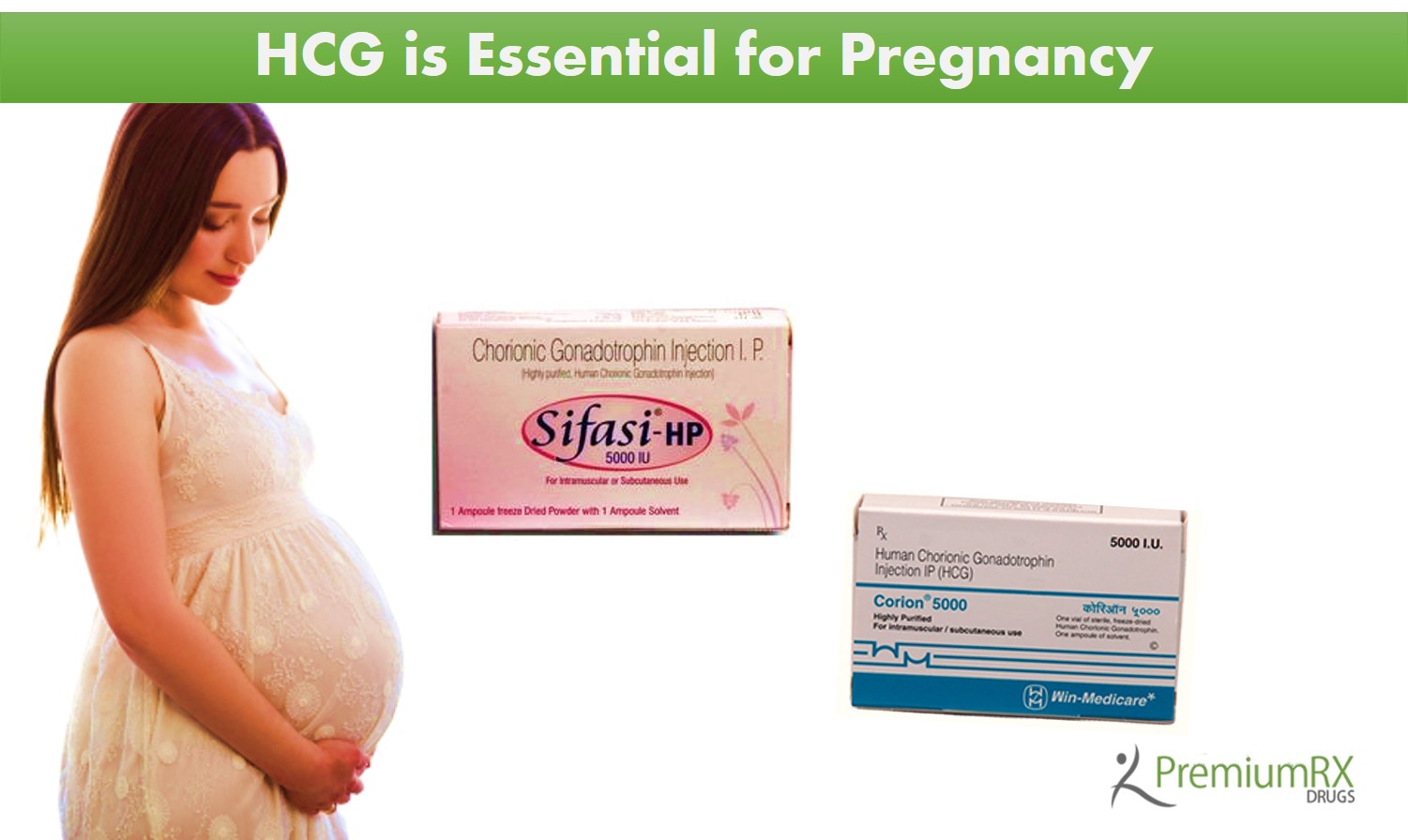 A Guide To Hcg Levels And Is Importance In Pregnancy Premiumrxdrugs